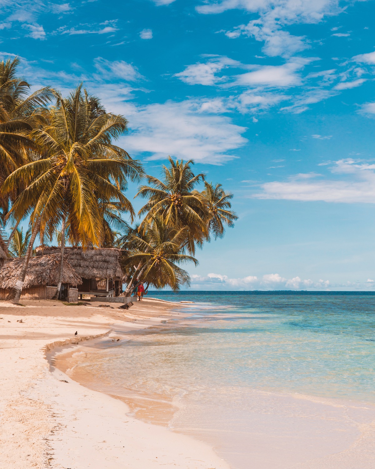 Palm-Fringed Paradise: The Beachfront View of Isla Franklin